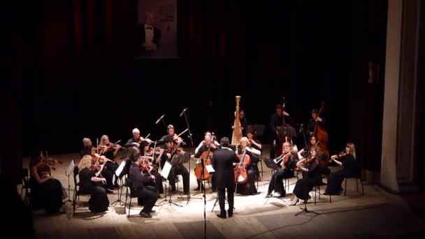 Quatro estações Orquestra de Câmara — Vídeo de Stock