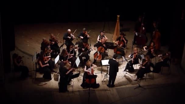 Vier seizoenen Kamerorkest — Stockvideo