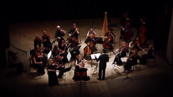 Vier seizoenen Kamerorkest — Stockvideo