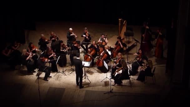 Vier seizoenen Kamerorkest — Stockvideo