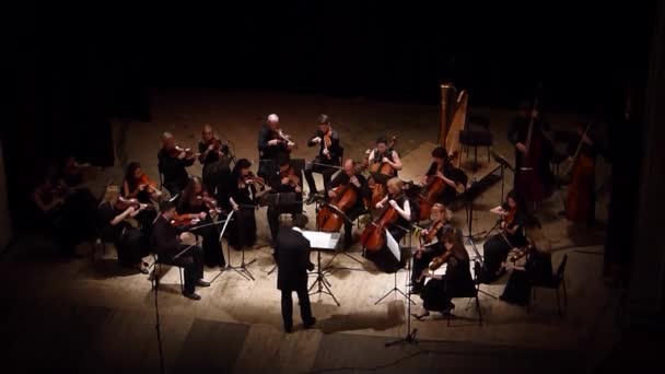 Vier seizoenen Kamerorkest — Stockvideo