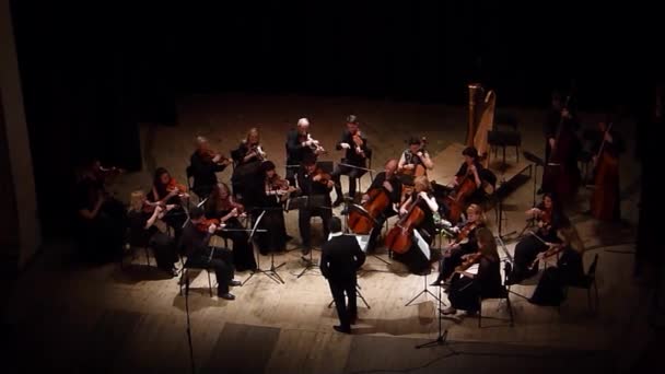 Vier seizoenen Kamerorkest — Stockvideo