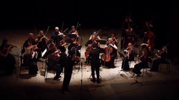 Quattro stagioni Orchestra da Camera — Video Stock