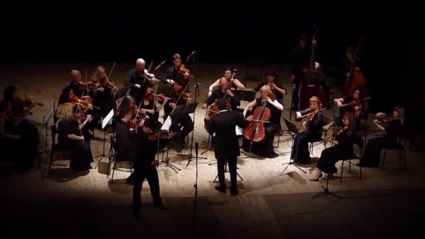 Vier seizoenen Kamerorkest — Stockvideo