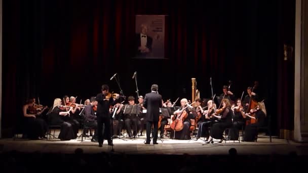 Vier seizoenen Kamerorkest — Stockvideo