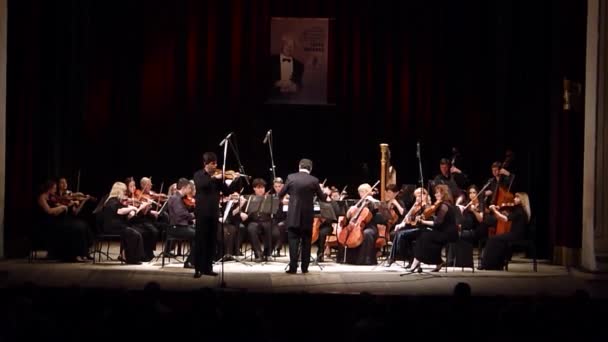 Vier seizoenen Kamerorkest — Stockvideo