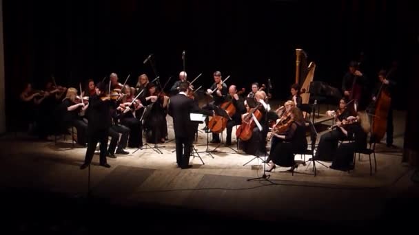 Vier seizoenen Kamerorkest — Stockvideo