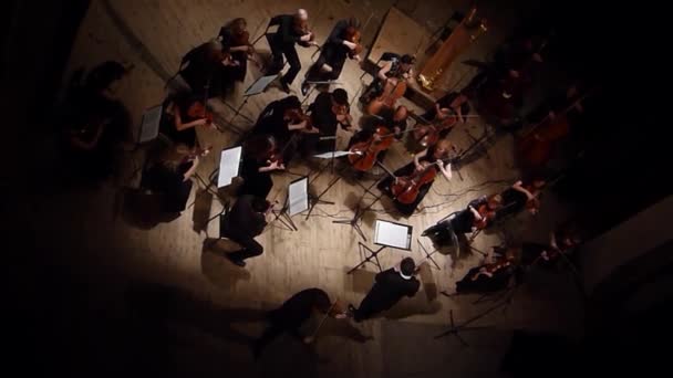Чотири сезони камерний оркестр — стокове відео