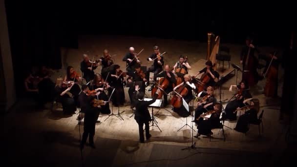 Quatro estações Orquestra de Câmara — Vídeo de Stock