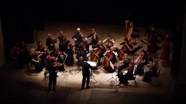 Vier seizoenen Kamerorkest — Stockvideo