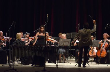 Dört Mevsim Oda Orkestrası