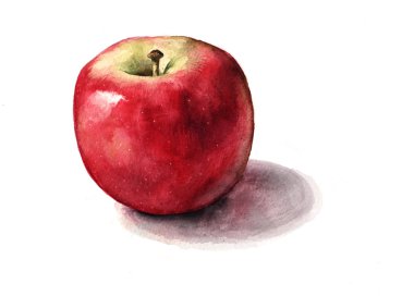 Parlak kırmızı elma suluboya resim