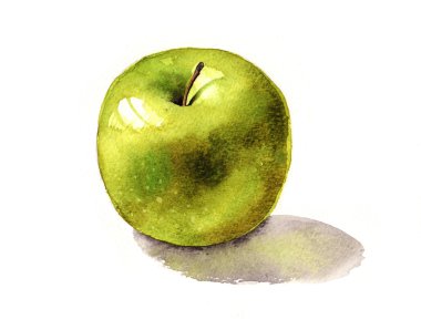 Yeşil elma suluboya resim.