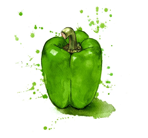 Splashy acuarela verde pimienta ilustración —  Fotos de Stock