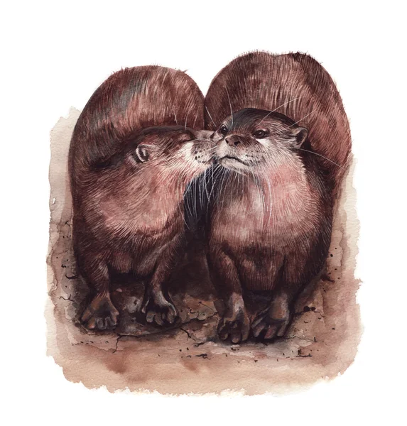 Beijando lontras ilustração aquarela — Fotografia de Stock