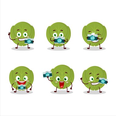 Brüksel lahanalı fotoğrafçı mesleği simgesi çizgi film karakteri. Vektör illüstrasyonu