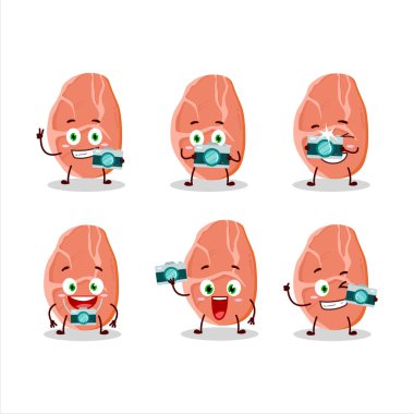 Domuz eti karikatürü karakterli fotoğrafçı mesleği simgesi. Vektör illüstrasyonu