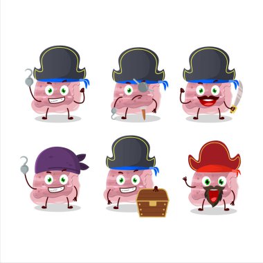 Çeşitli korsan simgeleriyle çilekli dondurma kepçelerinin çizgi film karakteri. Vektör illüstrasyonu