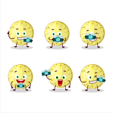 Ananas çizgi film karakterinin dilimlenmiş halkasıyla fotoğrafçılık mesleği simgesi. Vektör illüstrasyonu