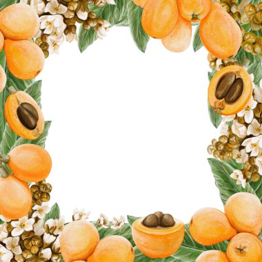 Egzotik meyvelerle çerçevelenmiş. Medlar çiçekler. Dallarda turuncu yuvarlak meyve ve dilimlenmiş. Yapraklar ve küçük beyaz cilt bakımı. Dekoratif tasarım. Klasik botanik tarzı. Suluboya elle çizilmiş.