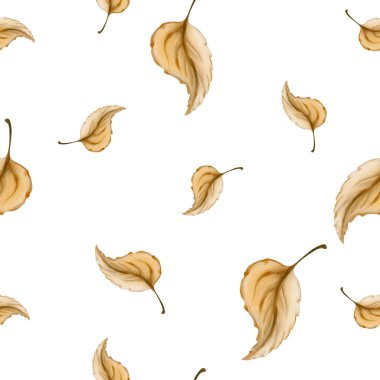 Sonbahar yaprakları beyaz arka planda izole edilmiş pürüzsüz bir desen. Paketleme, tekstil, duvar kâğıdı, kart ve mevsimlik tasarım için hafif dekoratif arka plan. Suluboya resim, elle boyanmış.