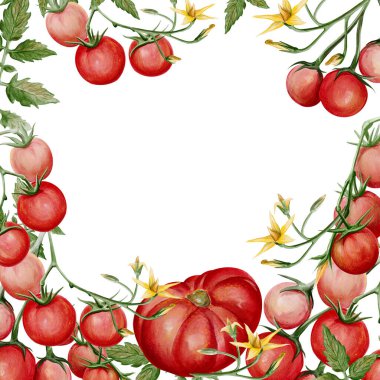 Elle boyanmış suluboya kenarları olgun domatesler, kiraz çiçekleri, yapraklar ve çiçeklerle. Kopya alanı olan botanik çerçeve kompozisyonu menü tasarımı, davetiyeler, paketleme ve mevsimsel baskılar için mükemmeldir. Yüksek kaliteli illüstrasyon