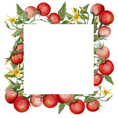 Elle boyanmış suluboya kare çerçeve olgun kiraz domatesleri, yapraklar ve çiçeklerle. Kopya alanı olan botanik sınır, menü düzeni, tarif kartları, paketleme, davetiyeler ve organik tasarım için ideal. Yüksek kaliteli illüstrasyon