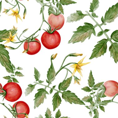 Kiraz domatesli, yeşil yapraklı ve sarı çiçekli kusursuz suluboya deseni. Hafif arka planda taze sebzelerin el yapımı botanik çizimi, doğal organik gıda tasarımı. Yüksek kaliteli illüstrasyon