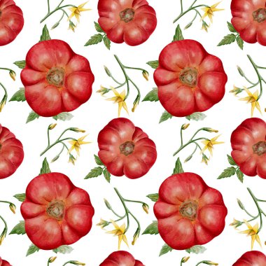 Olgun aile yadigarı domatesler, yapraklar ve sarı çiçeklerle kusursuz suluboya deseni. El yapımı botanik çizimi, arka planda izole edilmiş, tekstil, ambalaj, duvar kağıdı ve baskı tasarımı için mükemmel. Yüksek kaliteli illüstrasyon