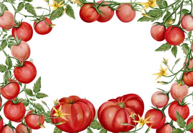 Elle boyanmış suluboya çerçeve olgun aile yadigarı ve kiraz domatesleri, yeşil yapraklar ve çiçeklerle. Kopya alanı olan botanik sınırı, menü tasarımı, tarif kartları, davetiyeler ve organik markalar için ideal. Yüksek kaliteli illüstrasyon