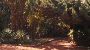 Çeşit çeşit bitki ve ağaçlarla kaplı gölgeli bahçe yolu organik dokuları ve yapılandırılmış doğal geçidin huzurlu atmosferini gösteriyor. Buenos Aires, Arjantin 17 Nisan 2025