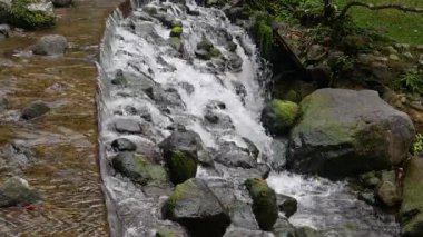4K yatay, kristal berrak akarsu döngüsü bir dağ nehrindeki yosun kaplı kayaların üzerinde yavaşça akıyor. Sakinleştirici, rahatlatıcı ve sinematik doğal arka planlar için mükemmel.