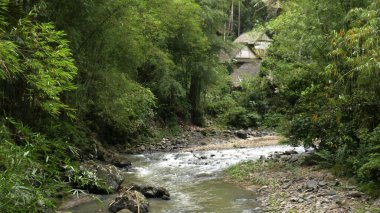 Geleneksel Baduy çatıları bir orman nehir kıyısı boyunca doğayla uyum içinde. Kültürel manzaralar, ekolojik yaşam temaları, kırsal mimari ve yerli topluluklar için idealdir..