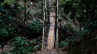 Baduy kırsalında sık ormanlarla çevrili el yapımı ahşap bir köprü. Ekoloji için uygun, geleneksel yaşam tarzı, yerli mühendislik ve kırsal seyahat görselleri.