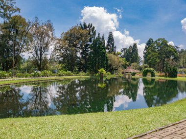 Berrak tropikal gölet, sakin bir bahçede güneşli mavi gökyüzünün altında uzun ağaçları ve parlak bulutları yansıtıyor..