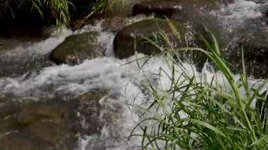 Kayalar arasında köpüklü, berrak bir derenin yanında yavaşça hareket eden yabani otların yakınlaşması. Doğa atmosferi, farkındalık görselleri ve belgesel sahneleri için harika.