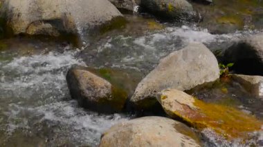 Sakin bir dağ deresinde nehir kayaları arasında yavaşça akan berrak su döngüsü. Arka plan görselleri, ASMR tarzı sakinleştirme sahneleri ve rahatlama kullanımı için mükemmel