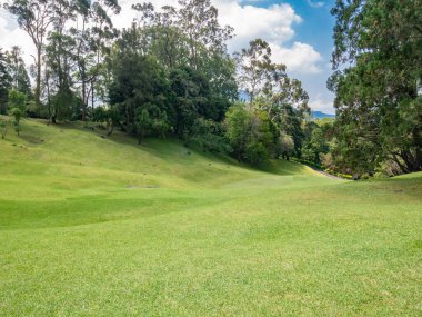 Geniş bir çim tarlası. Ufukta ağaçlar var. Huzurlu bir botanik bahçesinde..