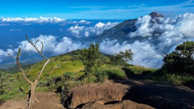 Merapi Dağı ve tropikal orman bitkilerinin dramatik bulutları. Endonezya manzarası dağcıları, fotoğrafçıları ve maceraperest yolcuları cezbeder..