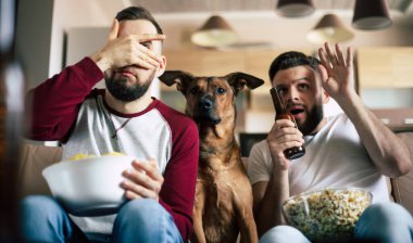 İki mutlu sakallı arkadaş TV seyrediyor ya da hafta sonu evdeki kanepede otururken köpekle spor maçı yapıyor.