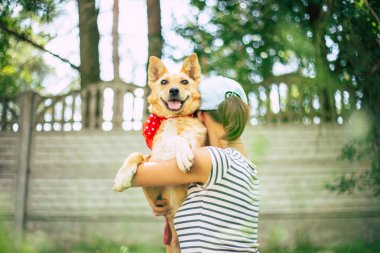 Güzel mutlu komik köpek oynuyor ve dışarıda eğleniyor.