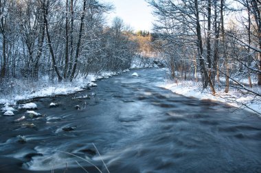 Estonya 'daki Karla Kaplanmış Ormanda Akmakta olan Manzaralı Nehir