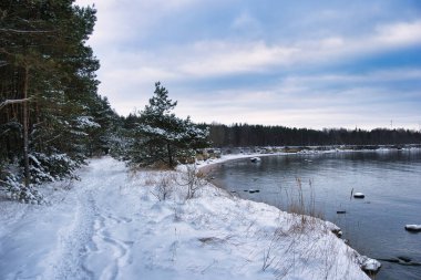 Karlı Kıyı Yolu ve Baltık Denizi boyunca Çam Ormanı, Suurupi