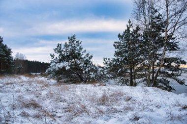Suurupi, Estonya 'da Kış Sahil Arazisi