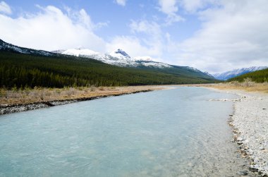Kanada Kayalık Dağları, sonbahar sahne Icefields Parkway