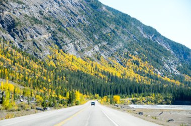 Icefields Parkway Güz, Kanada Rocky Dağları