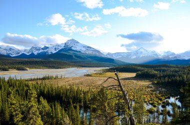 Kanada Kayalık Dağları, Icefields Parkway, Saskatchewan geçiş toplayan sonbahar