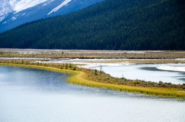 Kanada Kayalık Dağları, sonbahar sahne Icefields Parkway