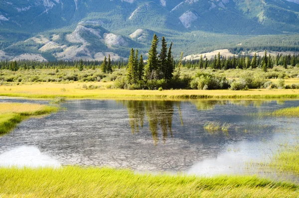 Sonbahar sahne Jasper, Kanada Rocky Dağları