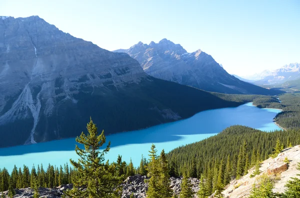 Peyto Gölü inautumn, Kanada Rocky Dağları